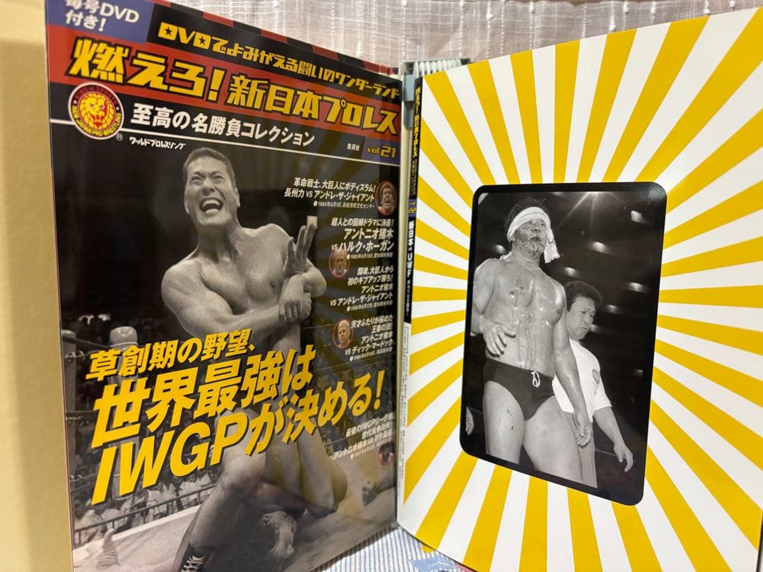 goh！！燃えろ!新日本プロレス DVDセット（1〜50）　冊子セット