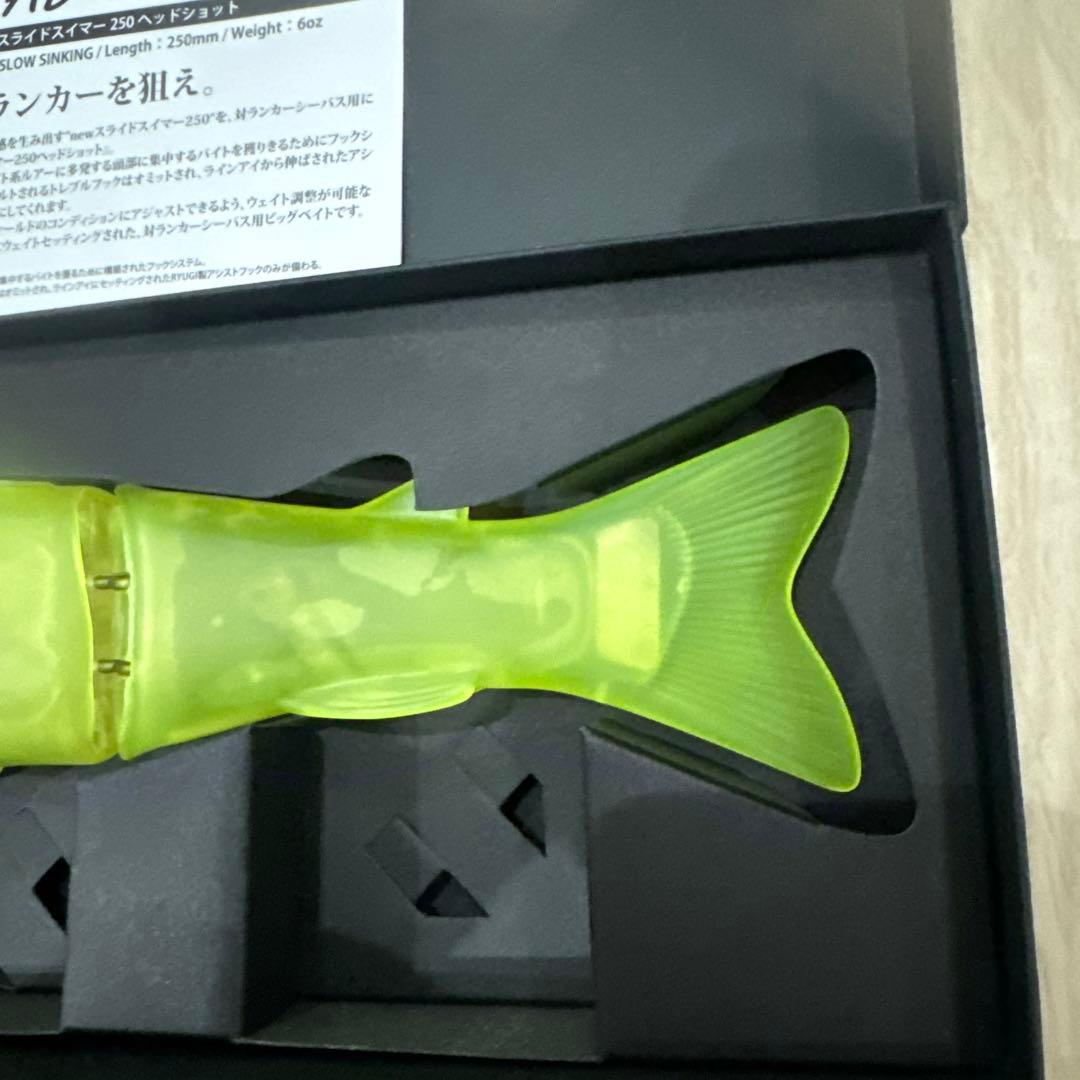 スライドスイマー250 ヘッドショット