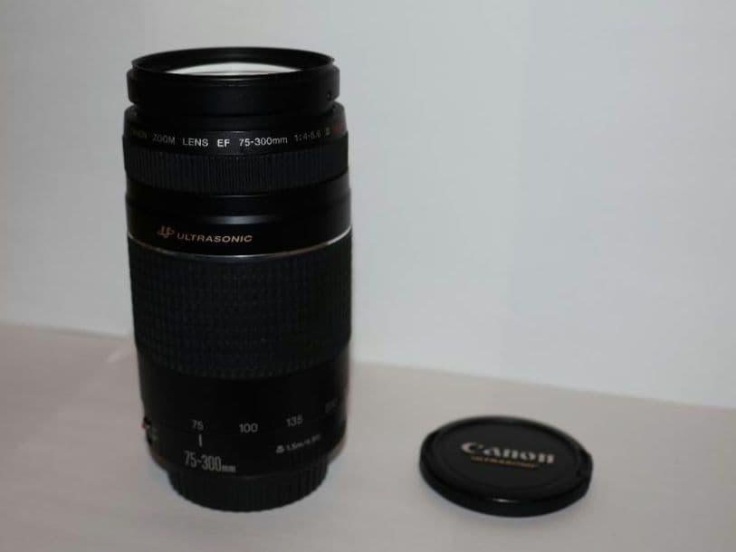 レンズ(ズーム) Canon EF 75-300mm F4-5.6 III USM