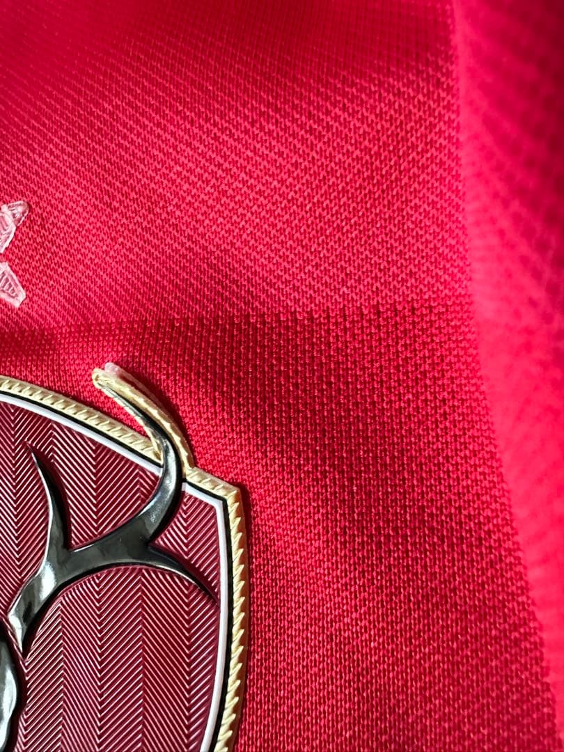 鹿島アントラーズ NIKE 2010ホーム長袖ユニフォームリーグ優勝ワッペン付