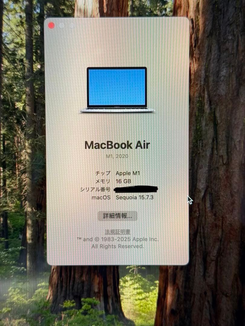 Apple MacBook Air (M1, 2020) シルバー JIS