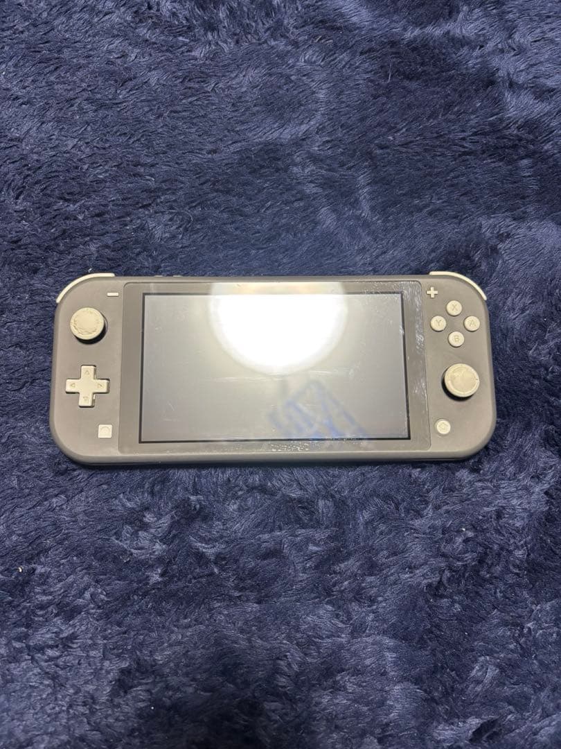 Nintendo Switch Lite　グレー おまけ保護カバー付き