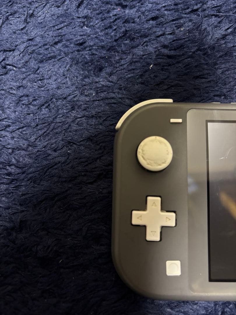 Nintendo Switch Lite　グレー おまけ保護カバー付き