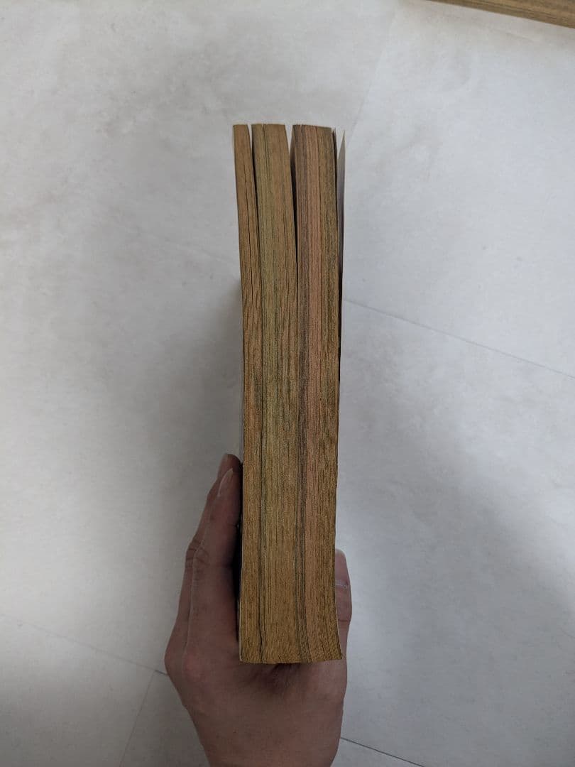 ANIMAL HOUSE 1991年4月号 ベルセルク掲載号