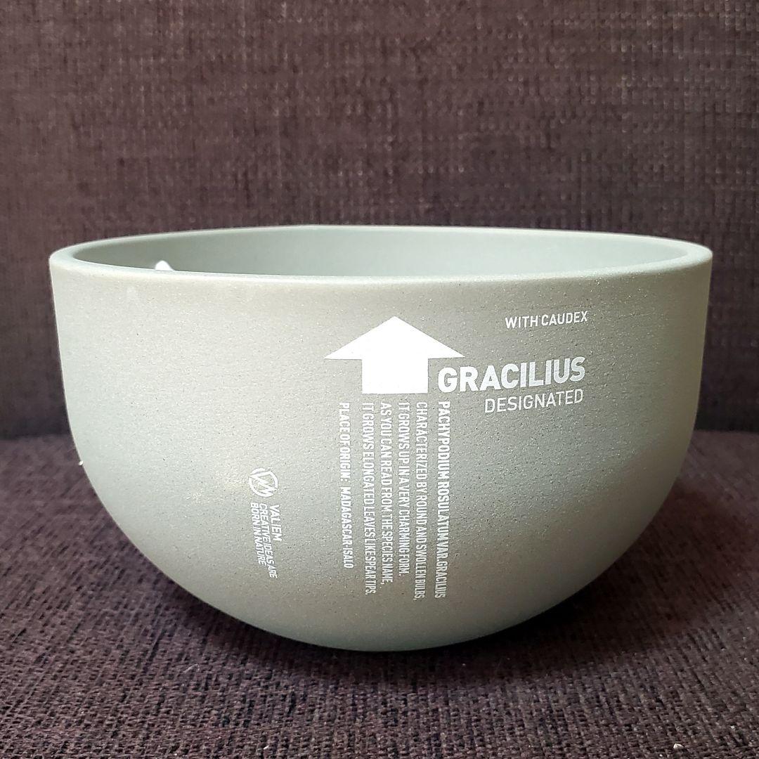 earnest hearts arms初期 検)カタチ製作所 インビジブルインク