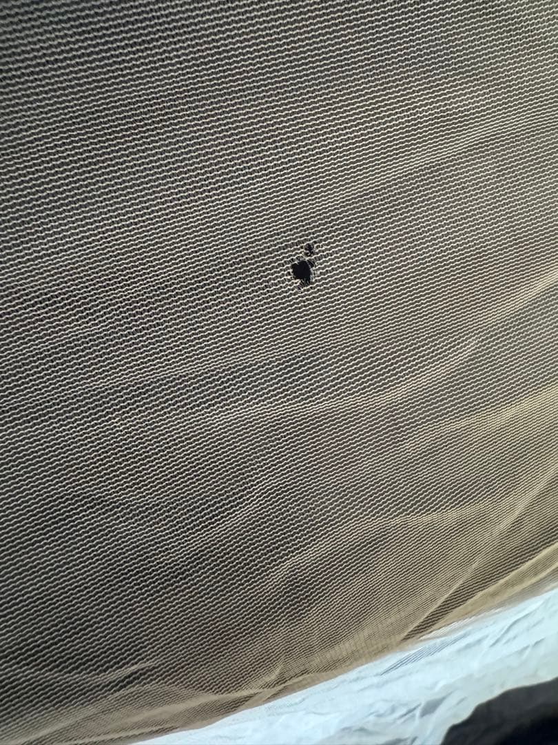 NEMOホーネットエリートオズモ2P