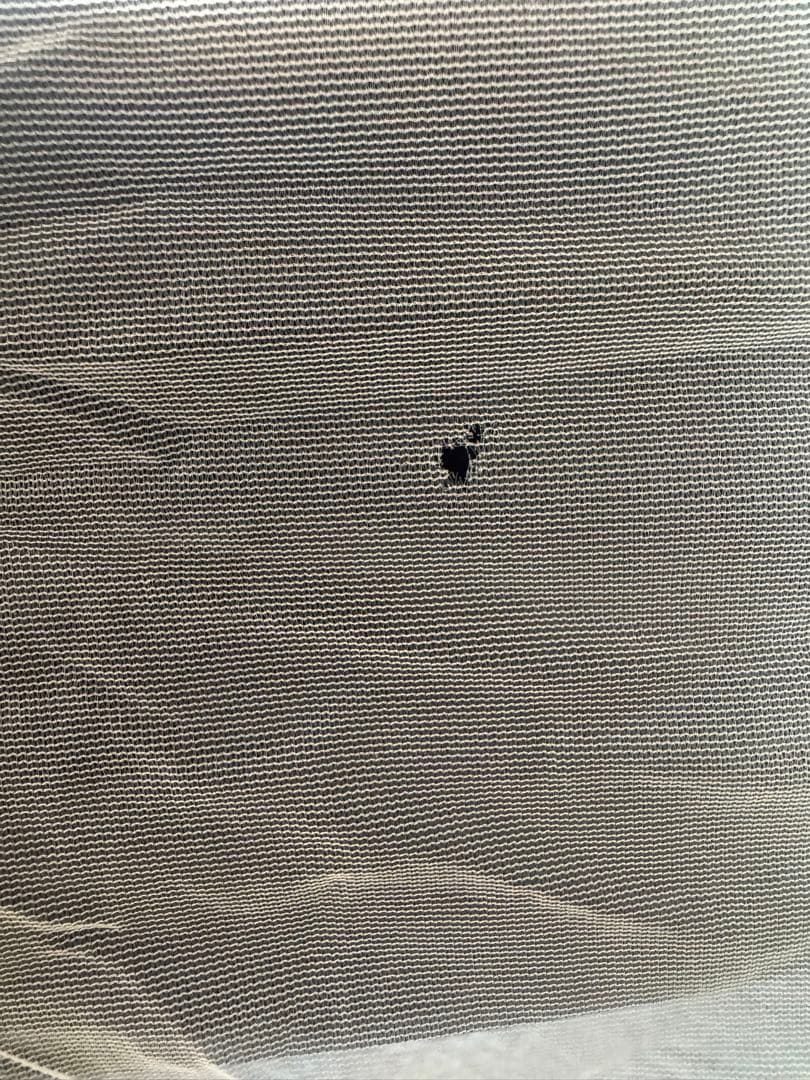 NEMOホーネットエリートオズモ2P