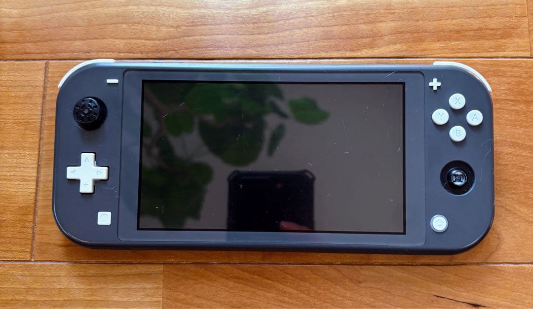 Nintendo Switch Lite グレー 本体　【ジャンク】ケース付き