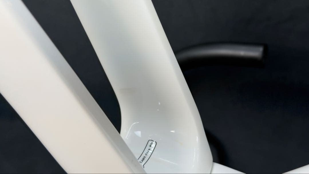 自転車本体 CANYON Aeroad CFR Alpecin-Fenix 2022 M