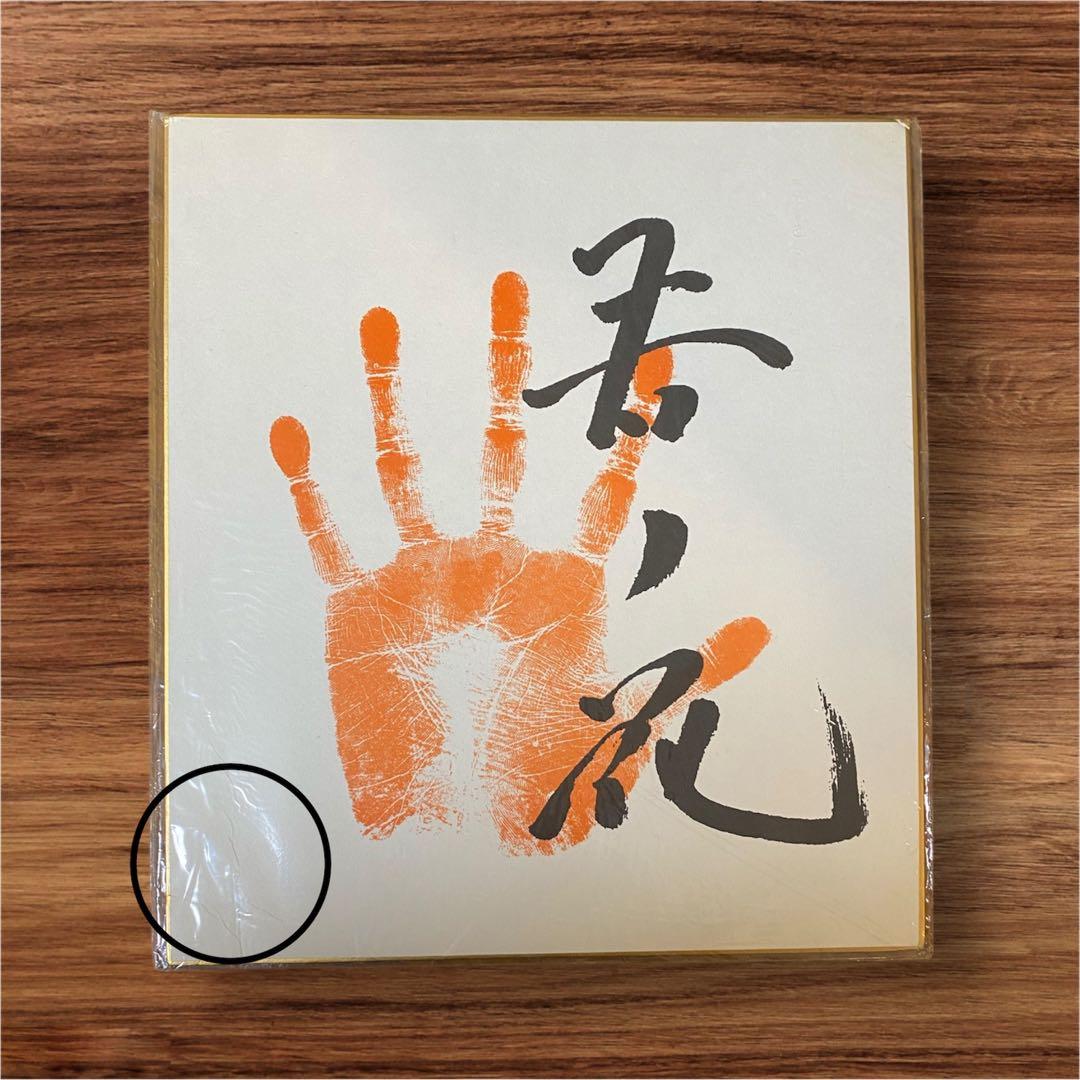 相撲 サイン 手形 色紙 若乃花 曙 小錦 寺尾 武蔵丸 武双山 旭道山