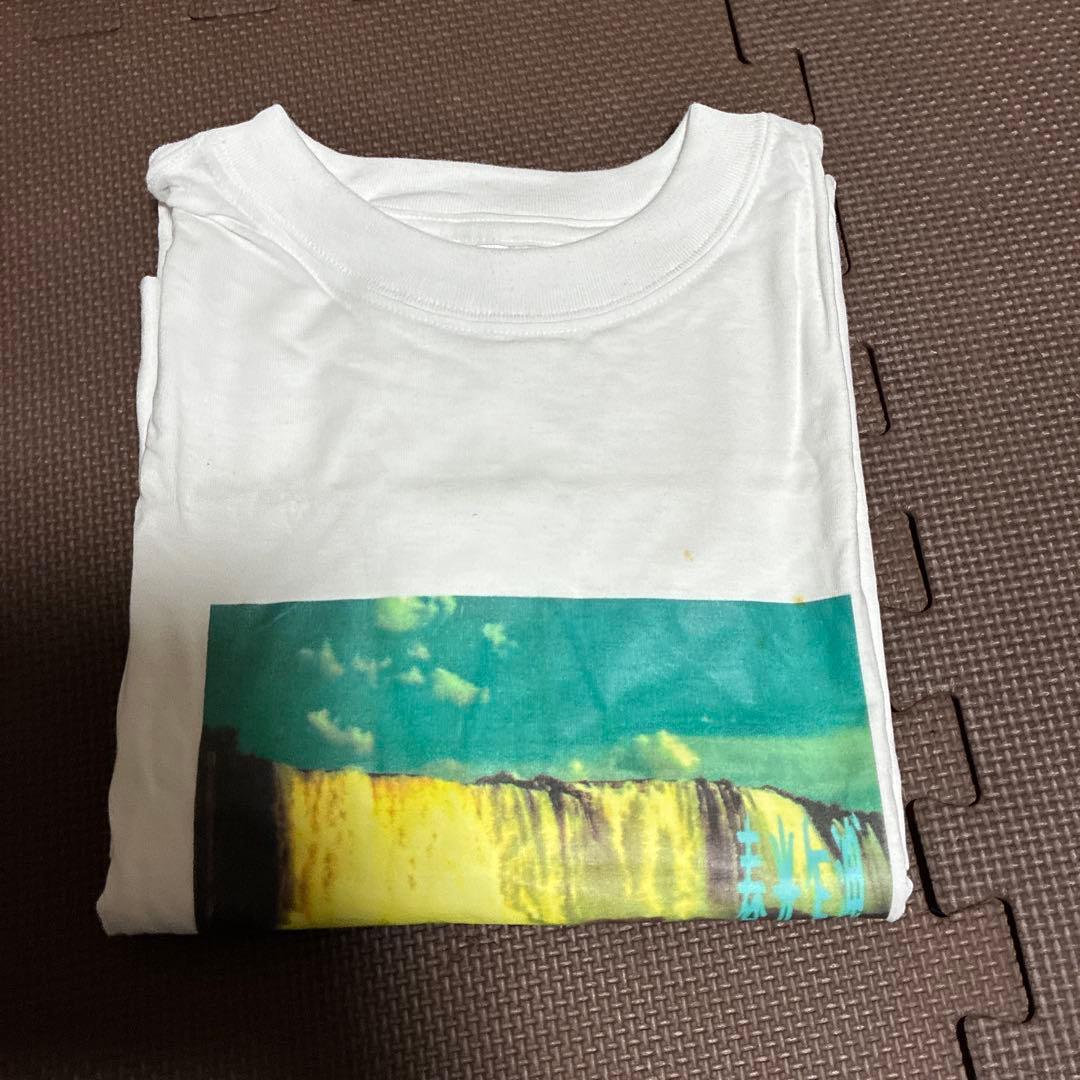 専用専用1997年の香港映画『ブエノスアイレス』（原題.春光乍洩Happy