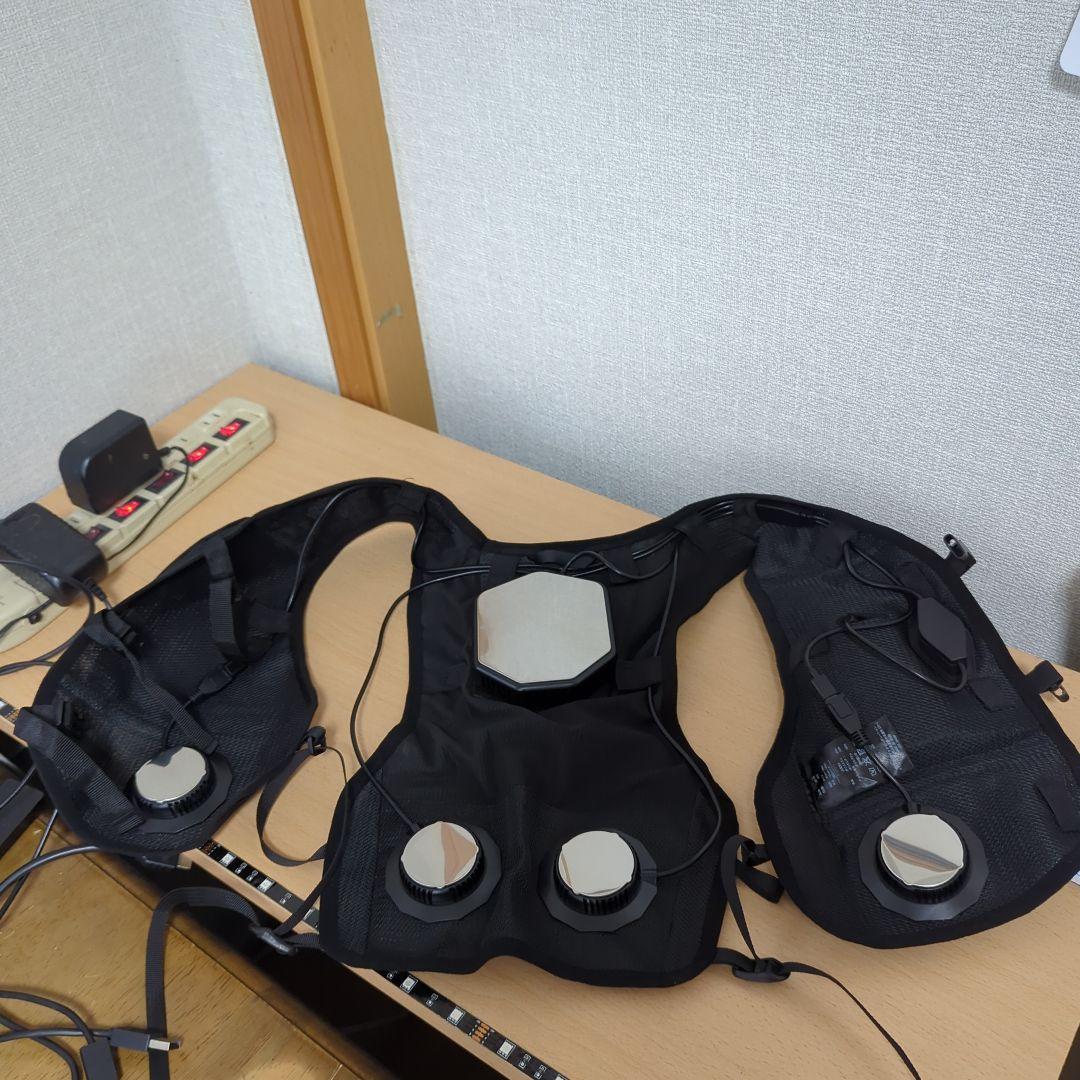 2025年製” ワークマン ウィンド コア ペルチェ ベスト PRO2