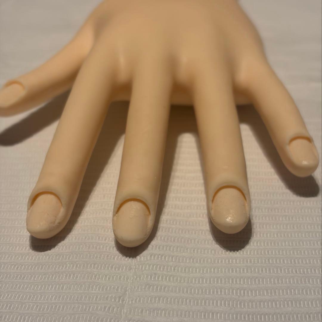 ハンドくん　JNEC認定モデルハンド　両手