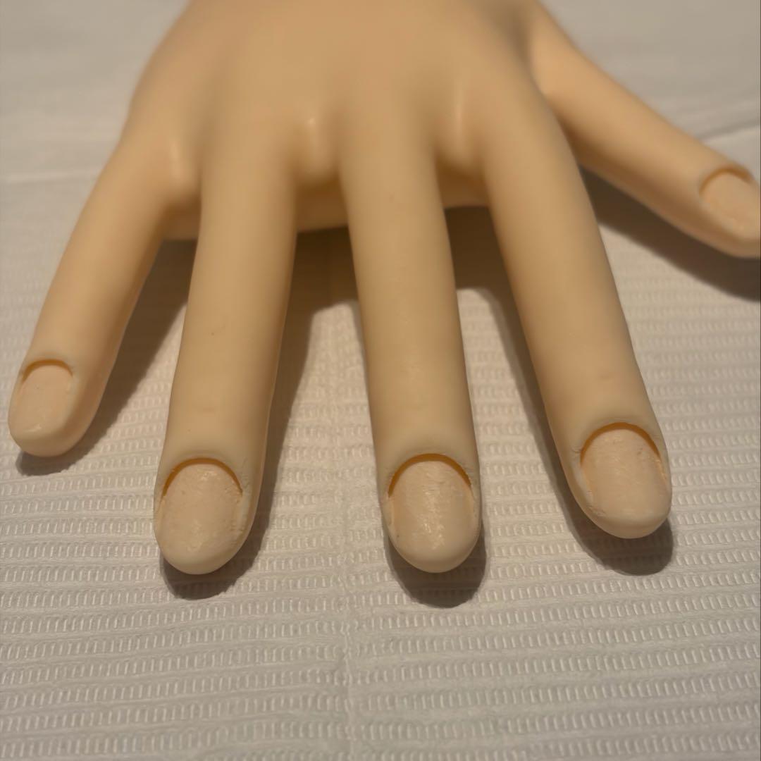 ハンドくん　JNEC認定モデルハンド　両手