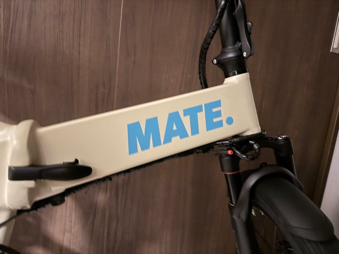 ほぼ新品MATE BIKE MATE X 250 メイトフュージョンメイトバイク