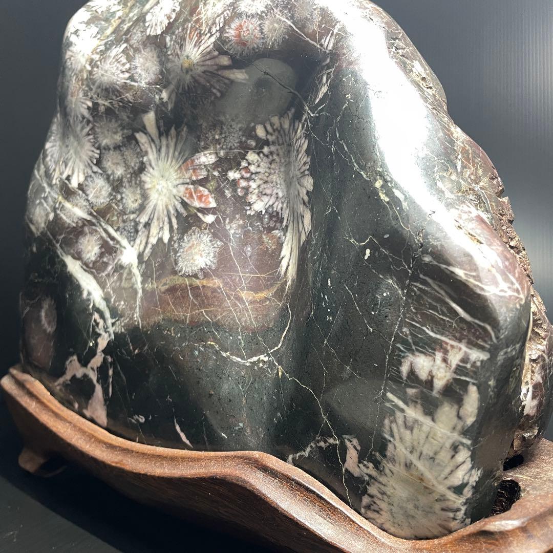 最高峰 根尾谷 菊花石 重量 10.77kg 特大 台座 鑑賞石 盆石 水石 白
