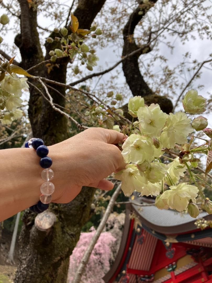 三碧木星ブレスレット（原宿当たる占い師５選順震監修）