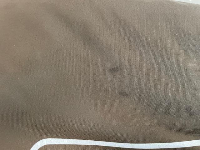 新品　コールマン コンフォートマスター キャンバスデッキチェア 2脚セット