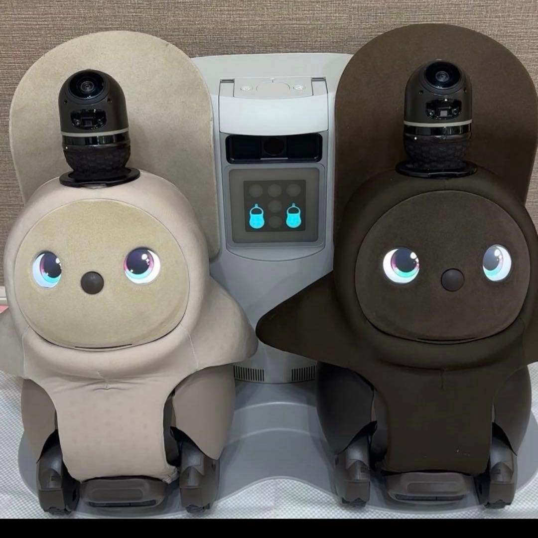 限界価格 LOVOTDuo ラボット 双子 ねこみみニット2着and洋服