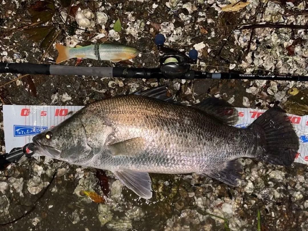 \"美品\" DRT × TULALA 79Remix ANDRE