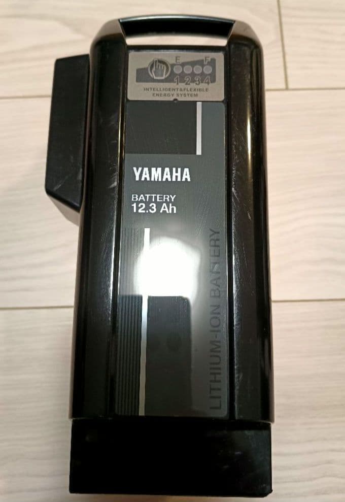 【関西圏配送無料】24インチ電動アシスト自転車 12.3Ahバッテリー付 PAS