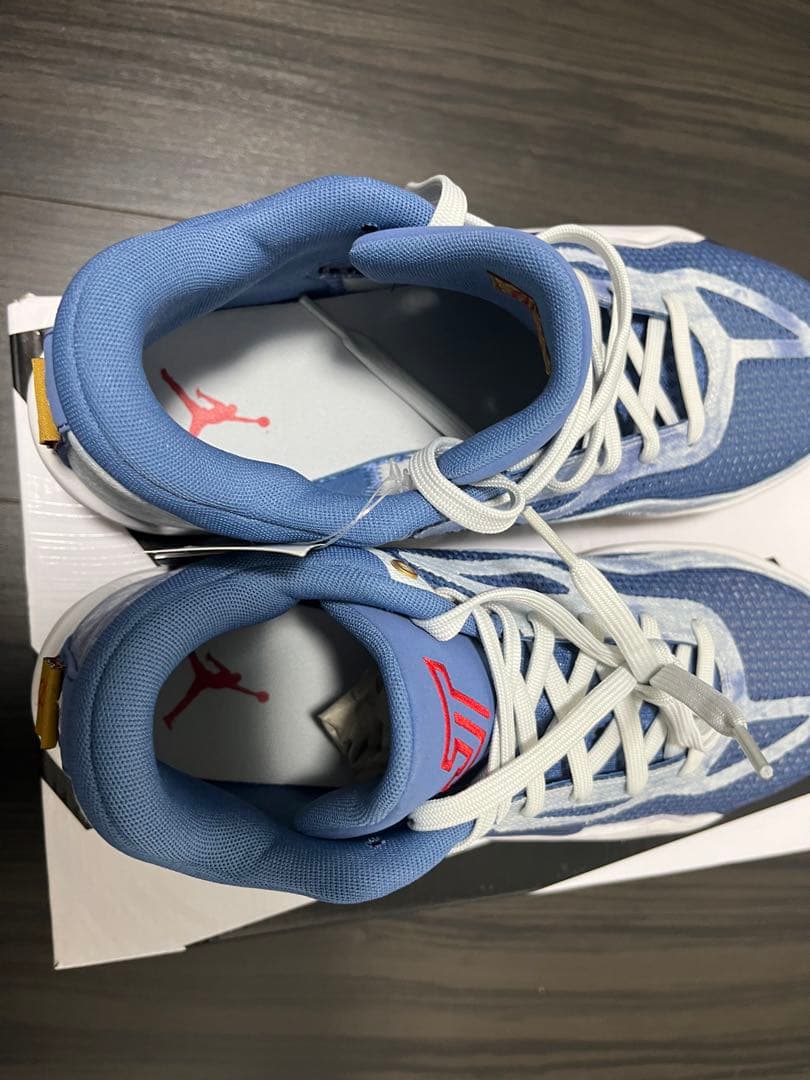 NIKE JORDAN TATUM 1PF ブルー