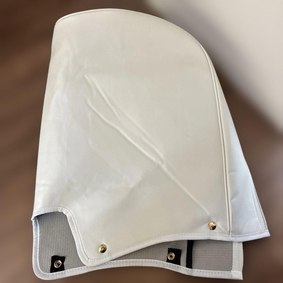 TaylorMade ★限定キャディバッグ★