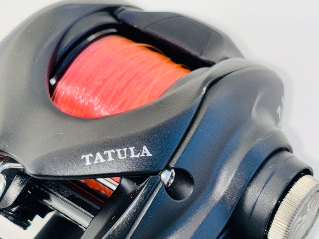 DAIWA 24 TATULA TW100HL ベイトリール 7.1 左