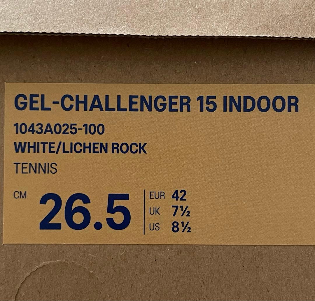 asics GEL-CHALLENGER 15 INDOOR 26.5㎝