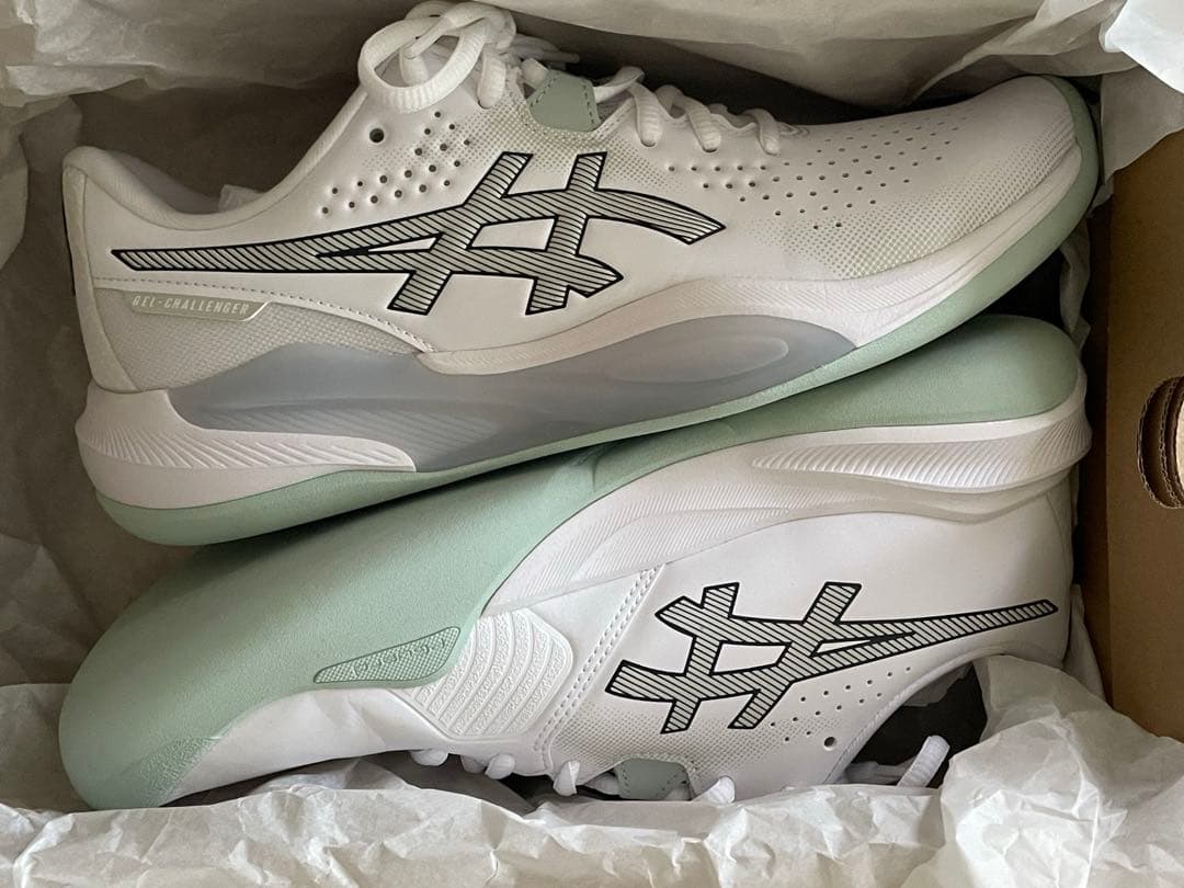 asics GEL-CHALLENGER 15 INDOOR 26.5㎝