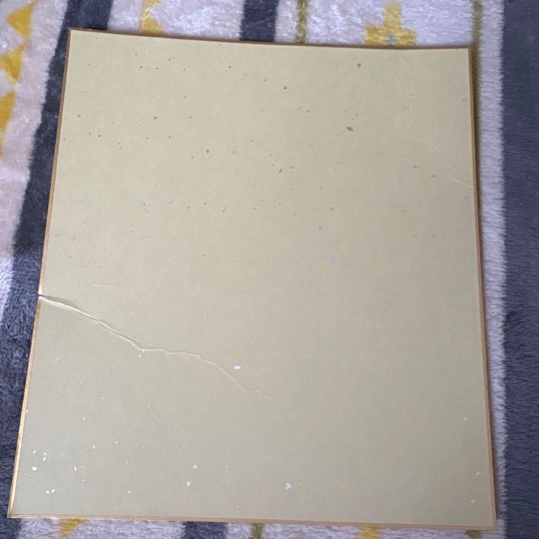 ファイターズ 日ハム 山﨑福也 齋藤友貴哉 サイン色紙 (難あり)