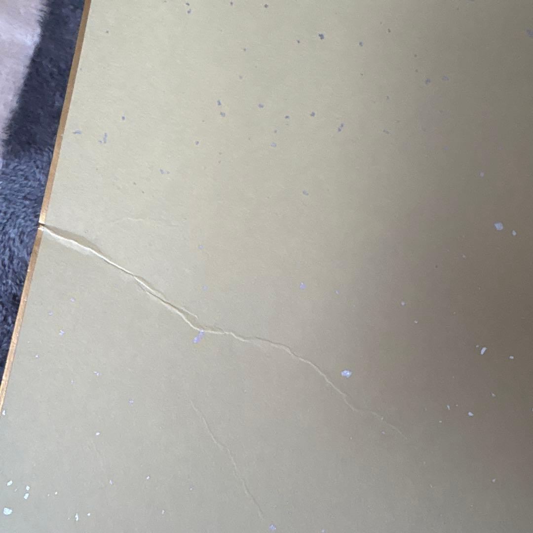 ファイターズ 日ハム 山﨑福也 齋藤友貴哉 サイン色紙 (難あり)