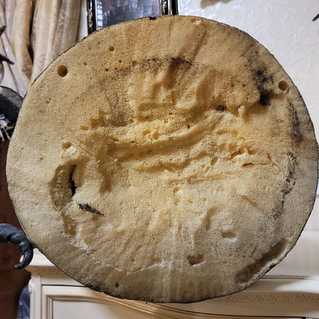 メキシコ製　ガーゴイル像　 高さ56cm　天然ゴム系製品　置物　イベント用等