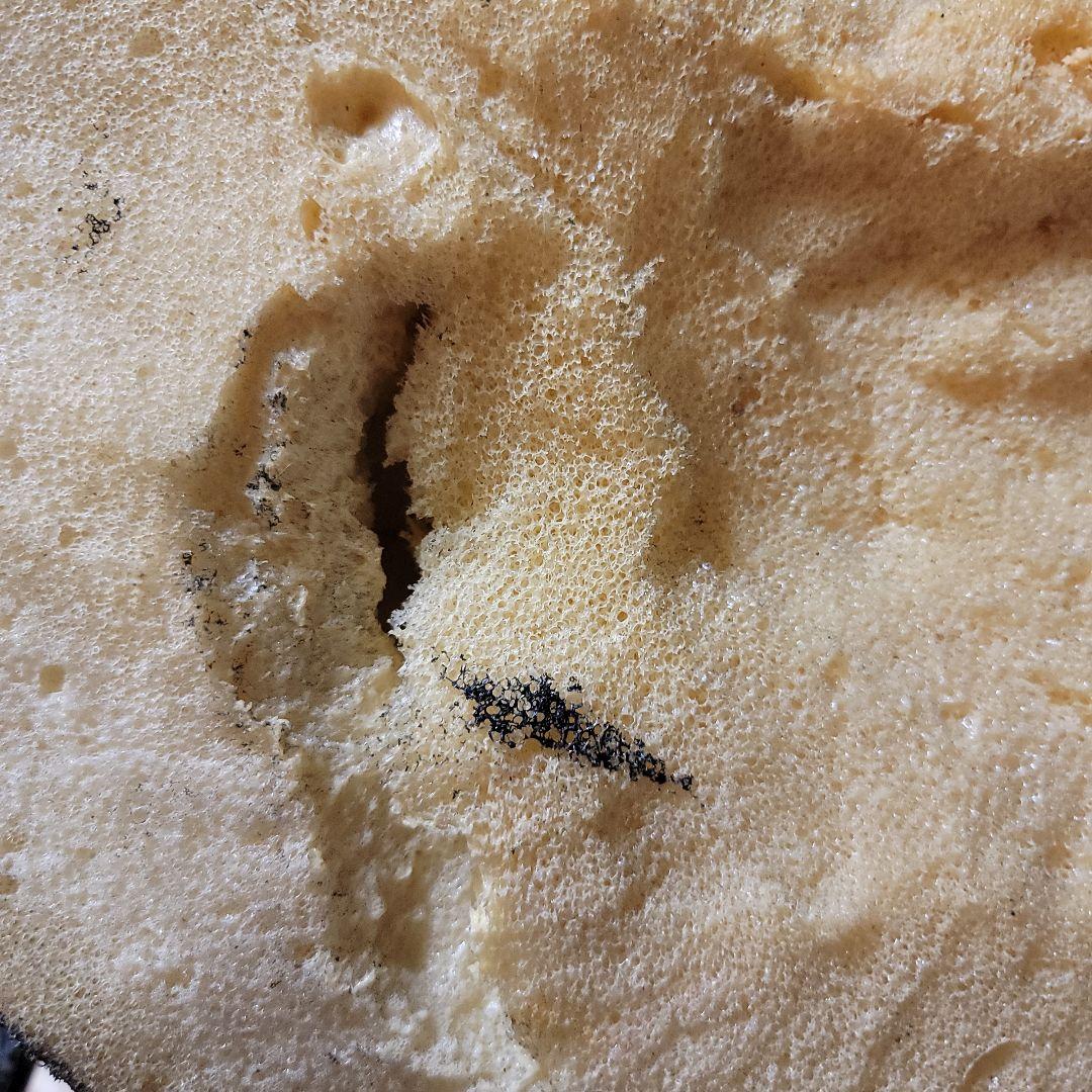 メキシコ製　ガーゴイル像　 高さ56cm　天然ゴム系製品　置物　イベント用等