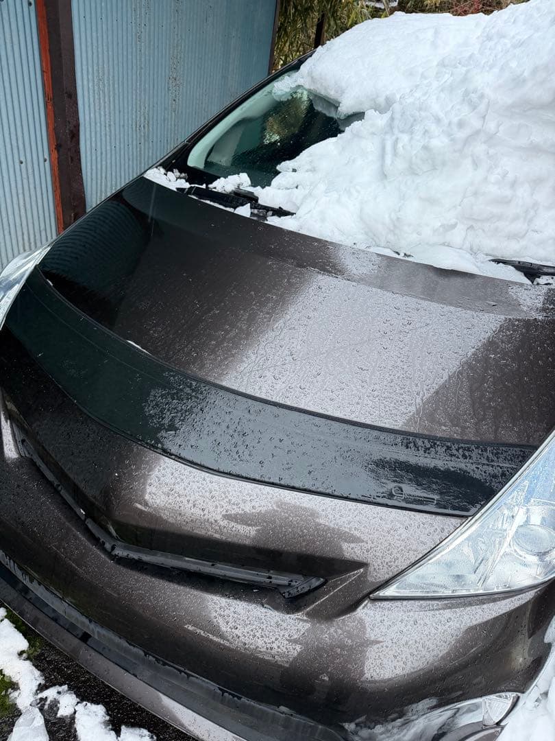 プリウスアルファ　ノーズブラ　カバークラフト　コーガンカスタム