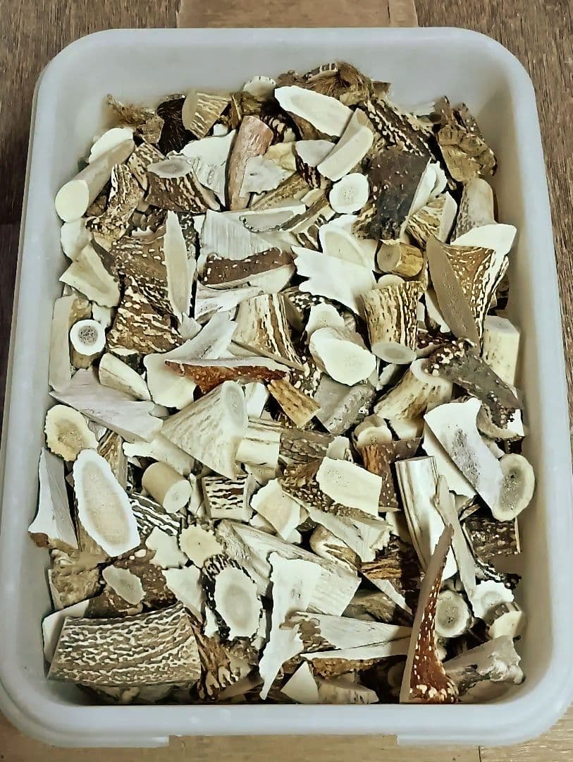 鹿の角 端材 20kg エゾシカ 角