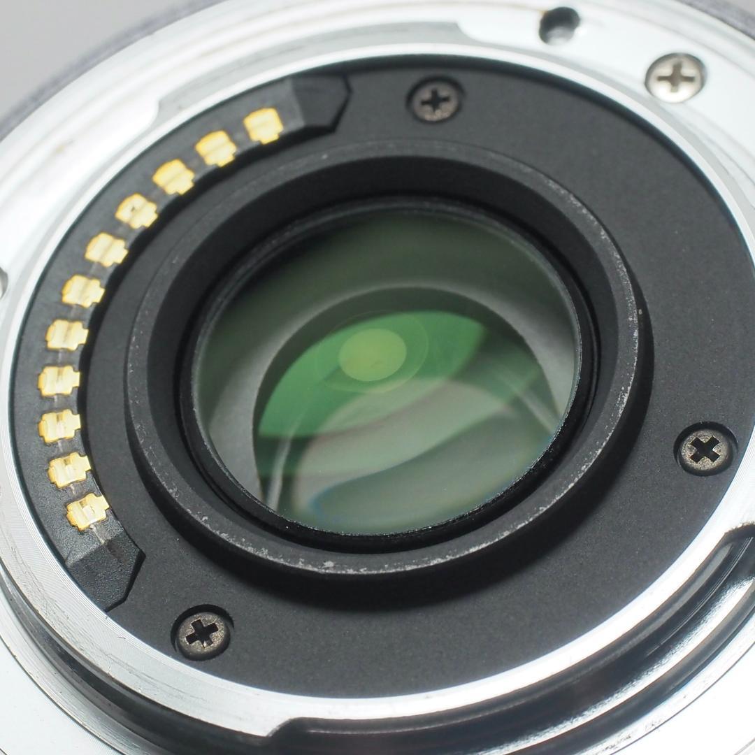LUMIX G VARIO 14-45mm F3.5-5.6 ズームレンズ動作◎