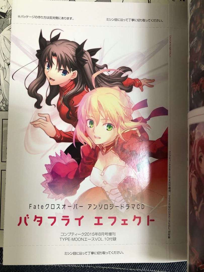 【中古品】【希少品】TYPE-MOONエース 11冊セット（付録一部なし）