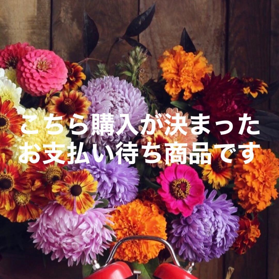 新品】SnowMan すのチル ソフビ 9体コンプリートセット ❌即購入NG