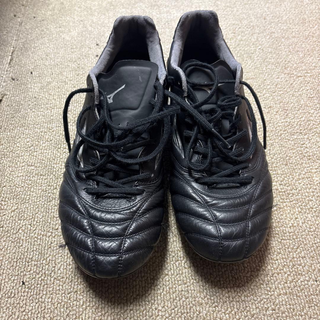 スパイク　モナルシーダネオ