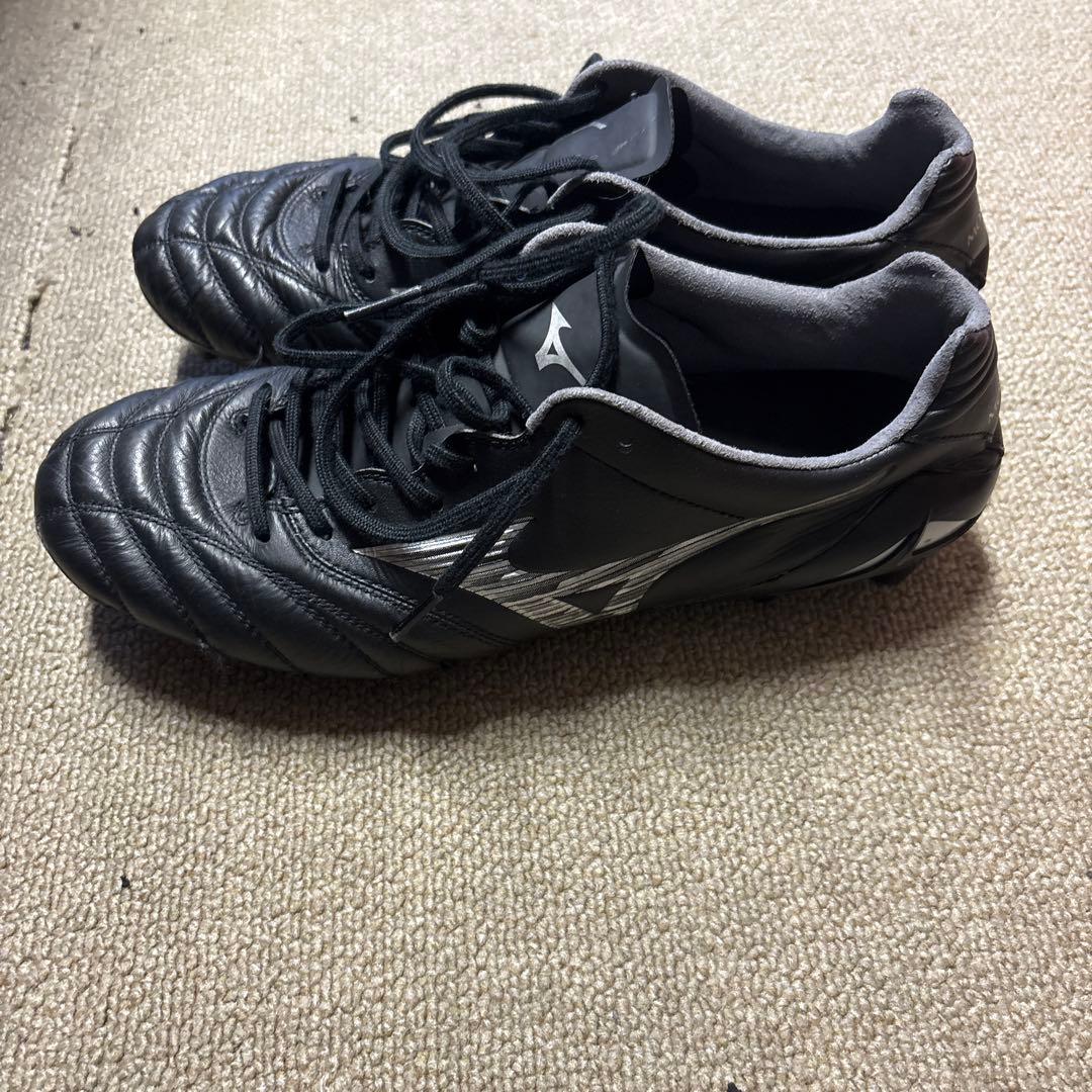 スパイク　モナルシーダネオ