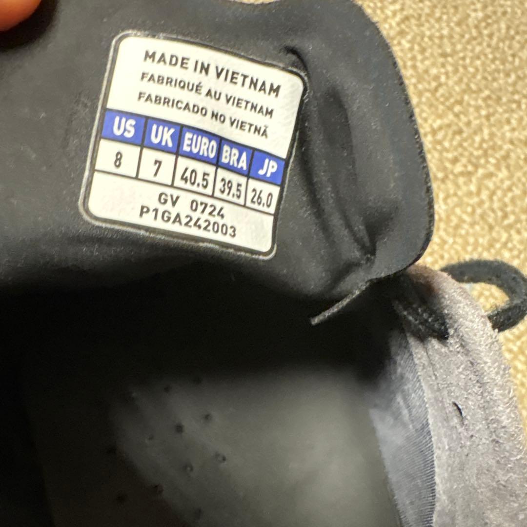 スパイク　モナルシーダネオ