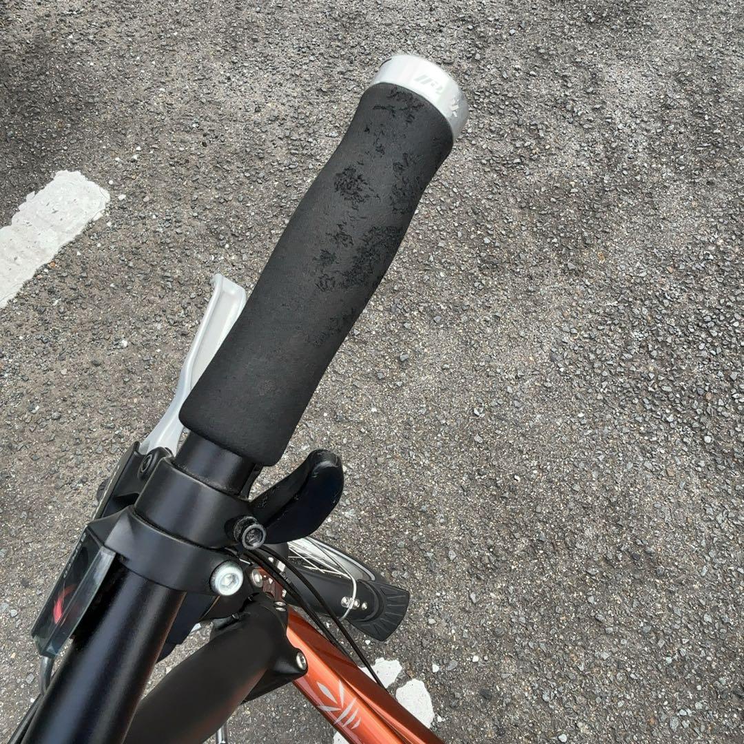 Tyrell IVE リアキャリア、スタンド、輪行袋付き ※プロによる洗車済み