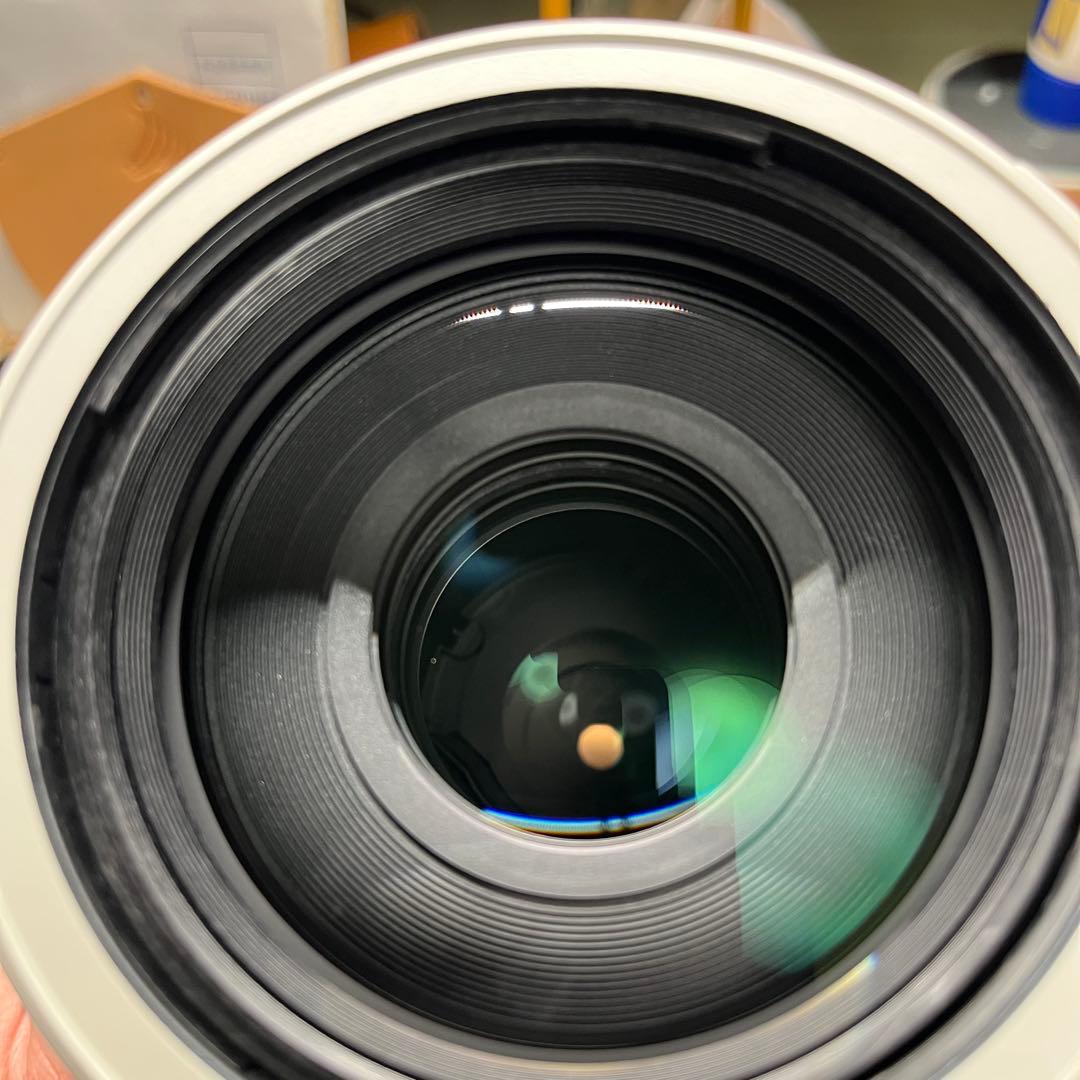 【純正レンズフィルター付】FE100-400mm F4.5-5.6 GM OSS