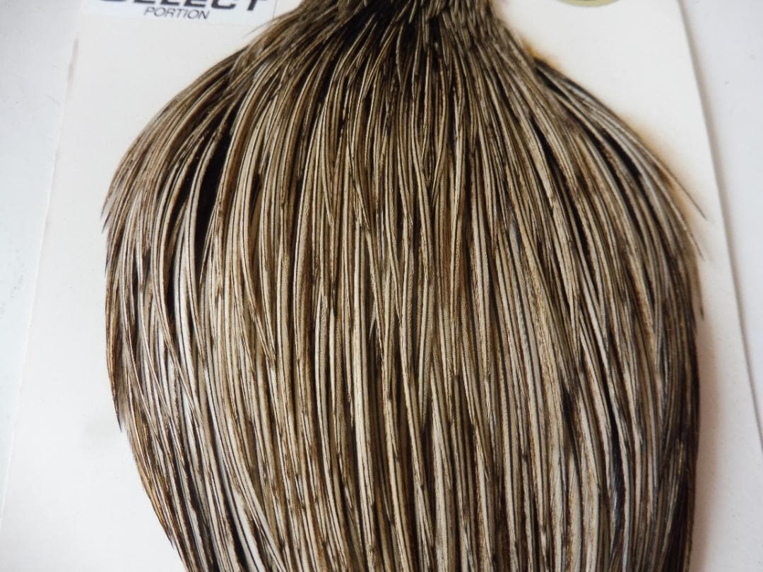 WHITING Silver ハックルケープ Golden Badger