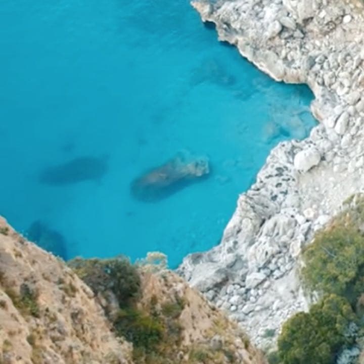 送料無料　10個セット　ハンドクリーム　メディテラネオ　カルトゥージア