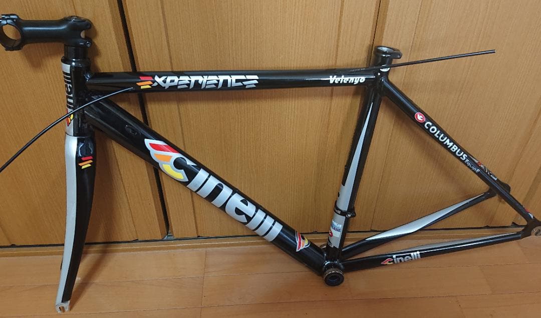 チネリ エクスペリエンス フレーム