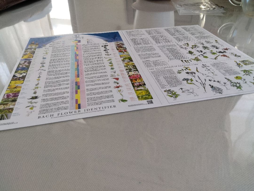 Nahoページ■30mlウォルナットヒーリングハーブス社フラワーエッセンス