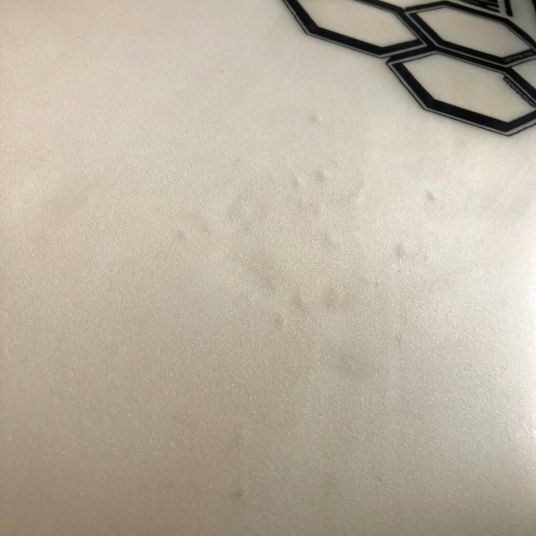 アルメリック サンプラー 5'11\" 【FCS II・ハード/ソフトケース付き】