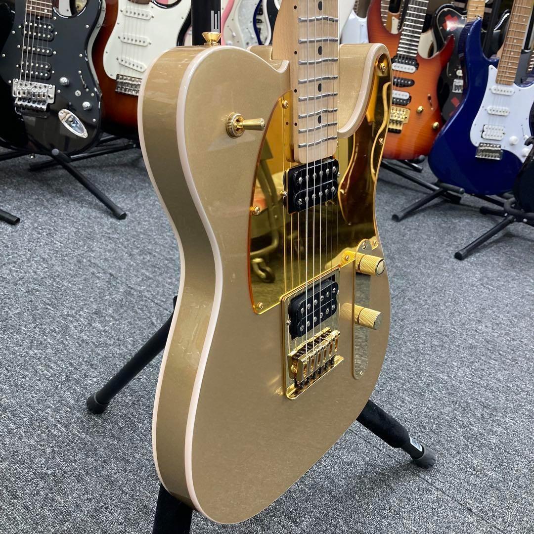 【9801】 True Temperament fretting system